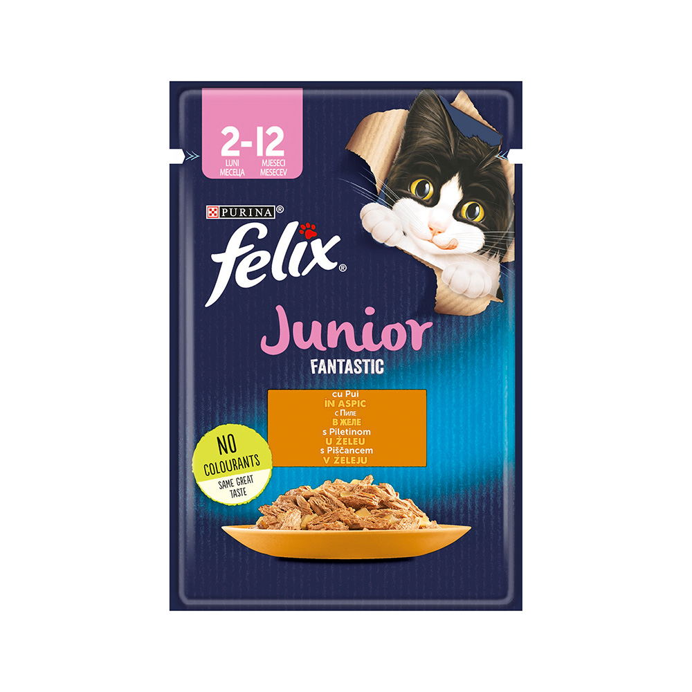 Felix Fantastic Junior piletina 85g