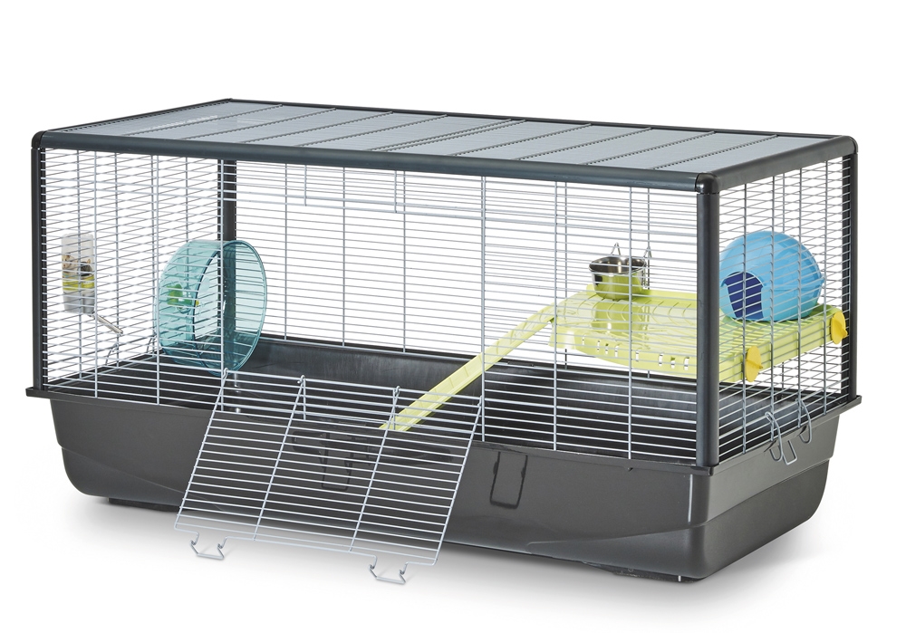 Nobby Kavez "Hamster Plaza"100 x 50 x 50 cm