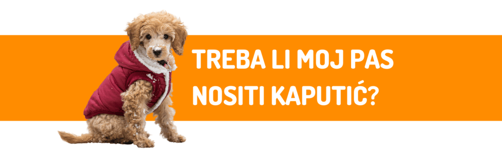 Hop Shop - Treba li moj pas nositi kaputić?