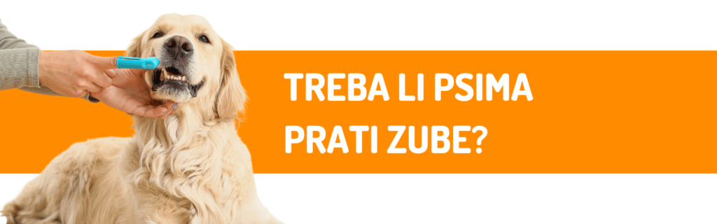 treba li psima prati zube