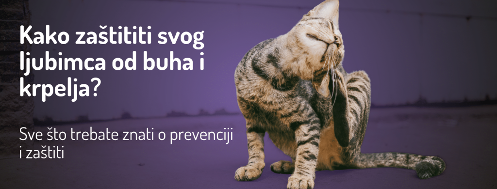 Kako zaštiti svog ljubimca od buha i krpelja?